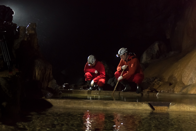 Biologists have been monitoring the eggs daily, which were laid in a special aquarium integrated within the cave. (Image: Postojna Cave)